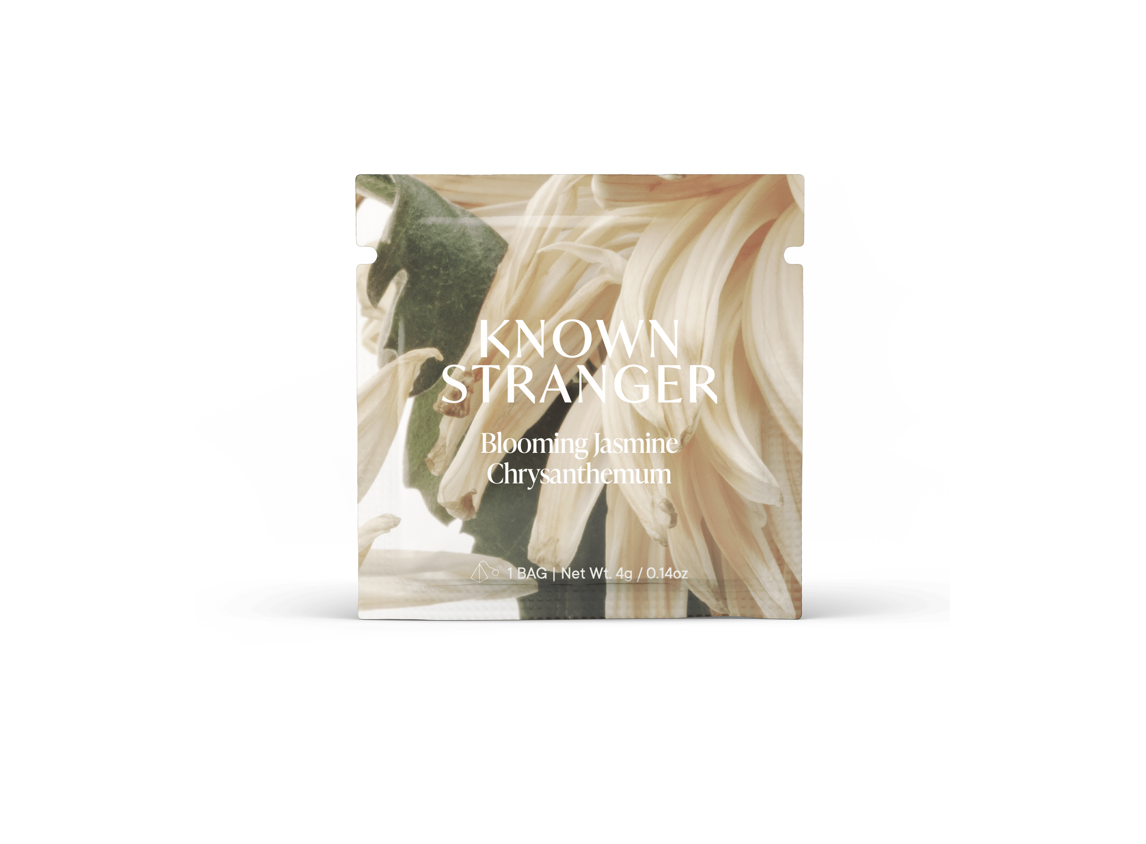 Blooming Jasmine Chrysanthemum - Taste of Awesomeness